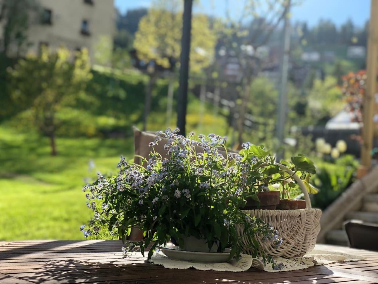 Dolomites Charme Chalet Colle Santa Lucia Luaran gambar
